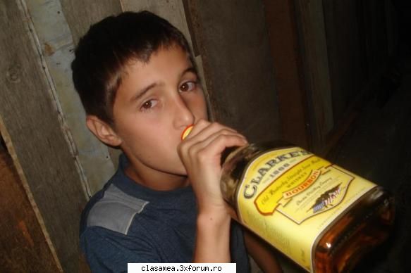 wisky-foc poze